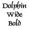 Dolphin Wide Bold Font